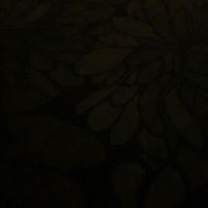 Meet your Posher, Tonie